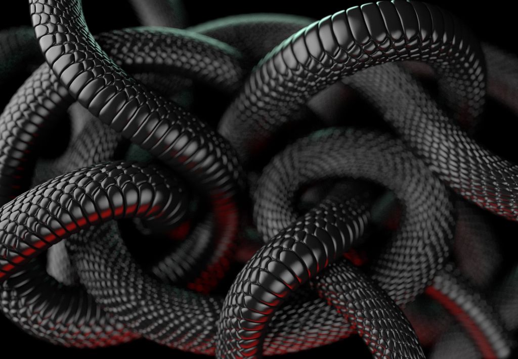 Serpenti neri