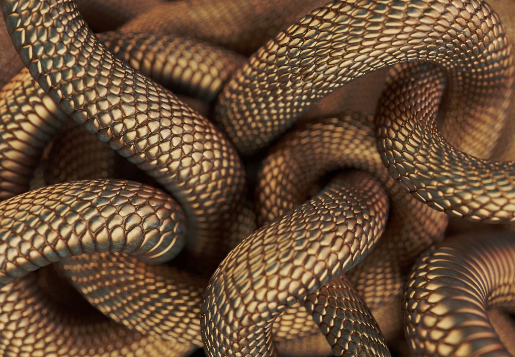 Serpenti di bronzo