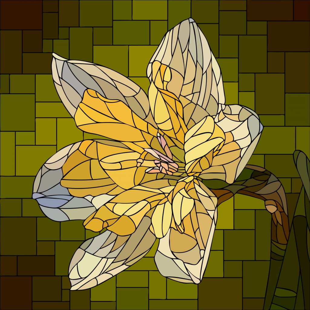 Narciso in fiore