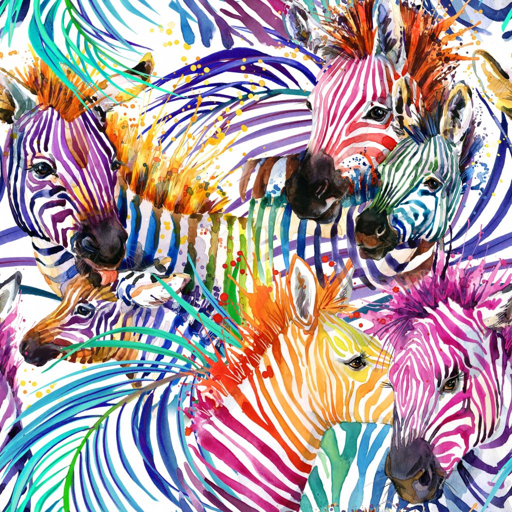 Zebre colorate