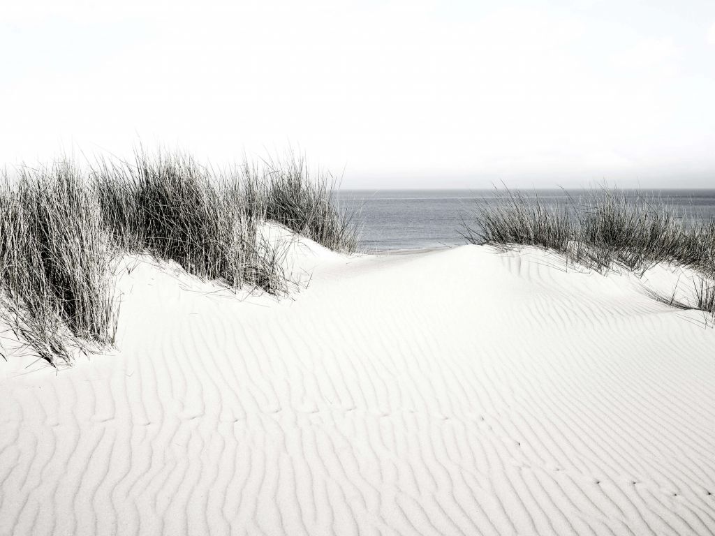 Passaggio dalla duna alla spiaggia in bianco e nero