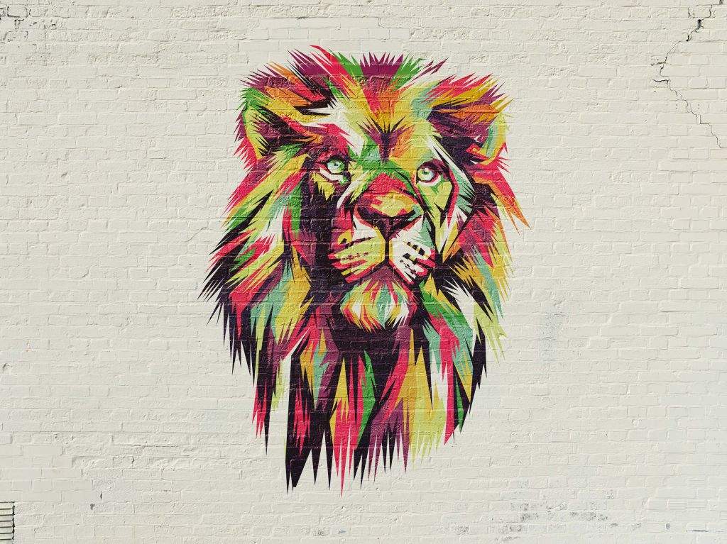Graffiti di un leone