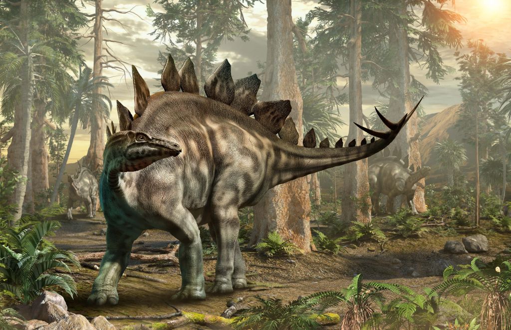 Famiglia degli stegosauri