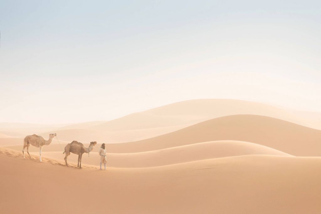 Nomade con i suoi cammelli