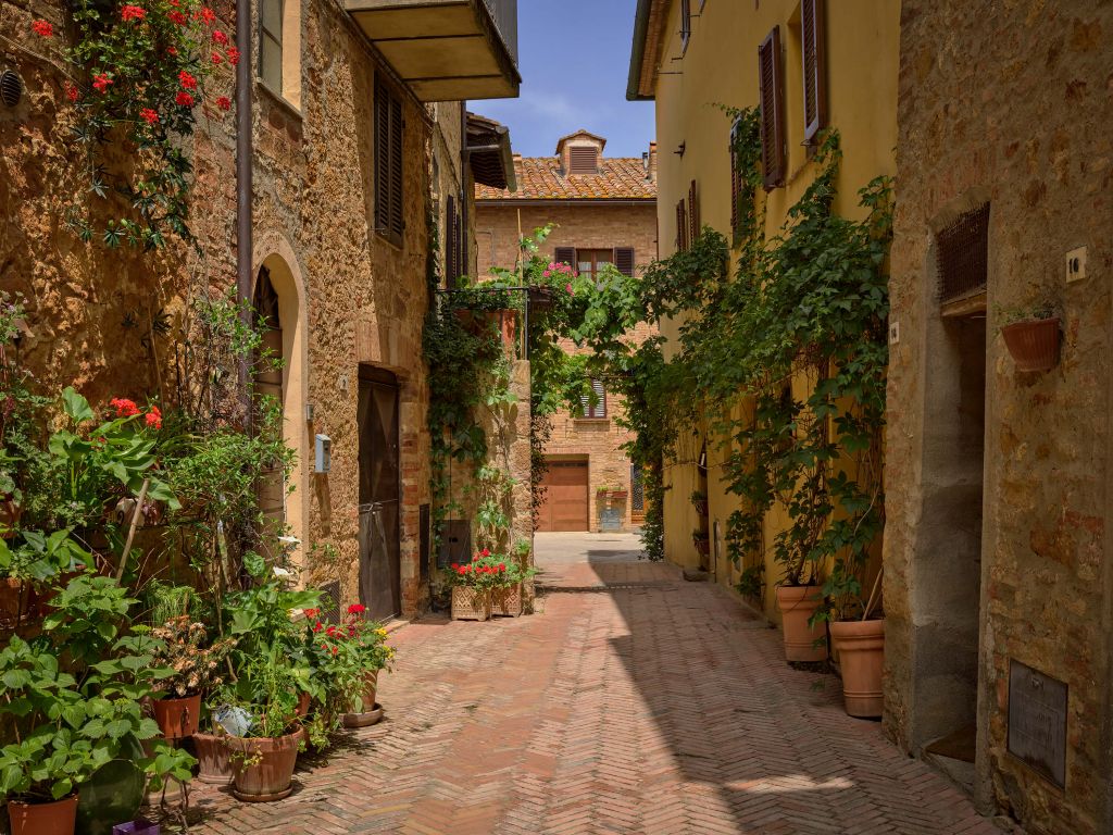 Strada italiana con piante