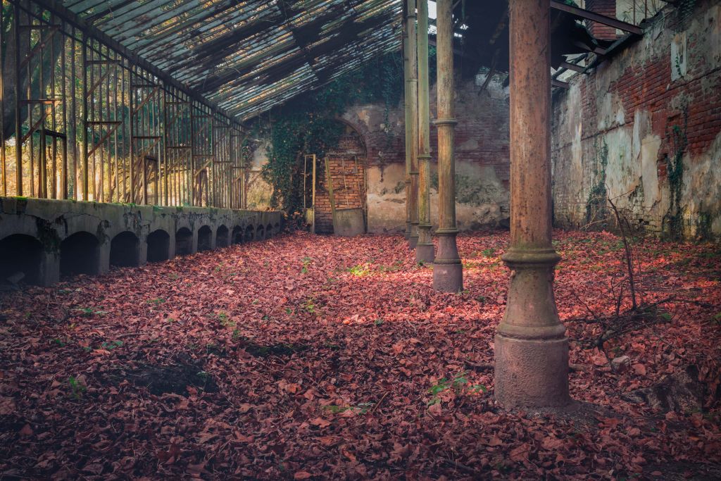 Casa abbandonata con foglie