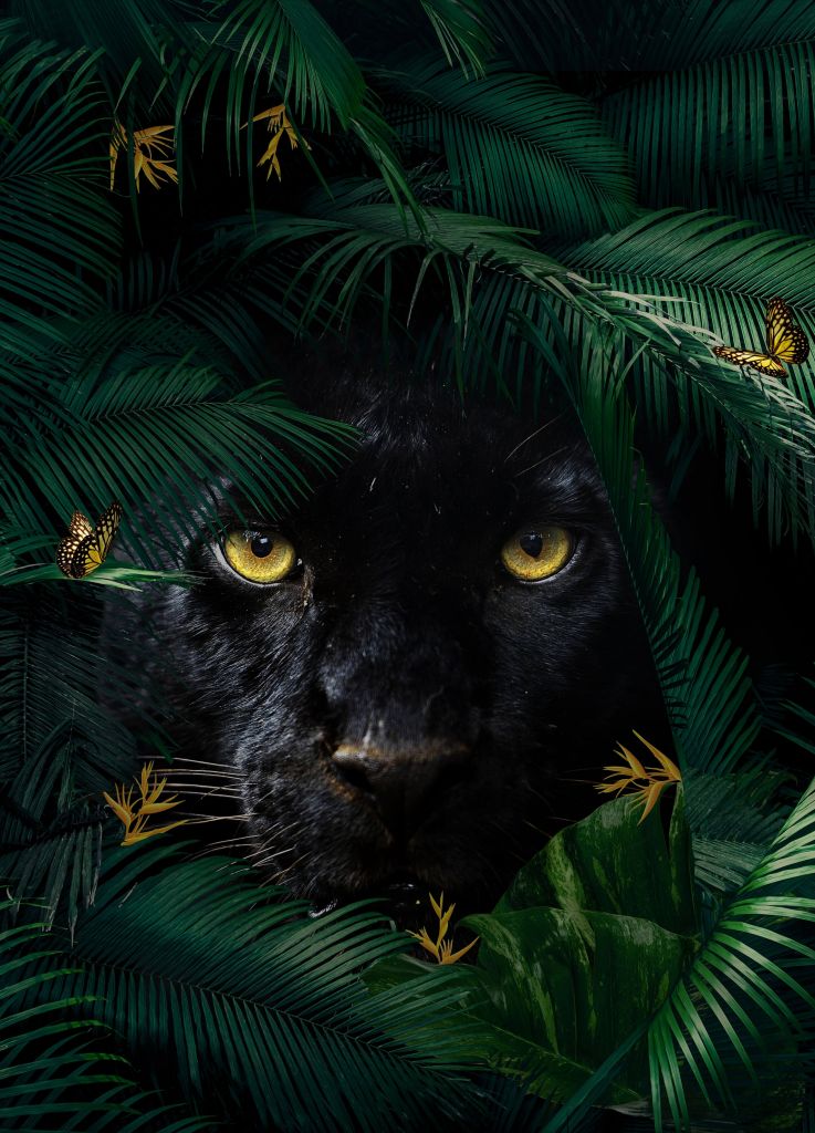 Jungle Panther Ritratto