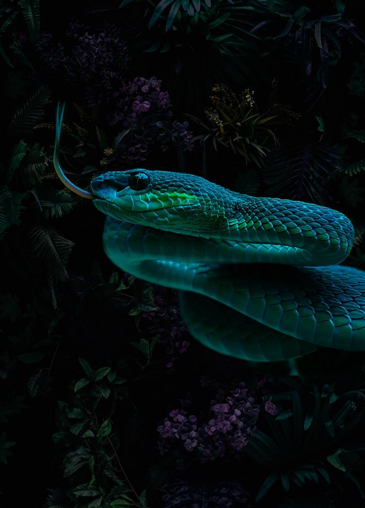 Jungle Snake Ritratto