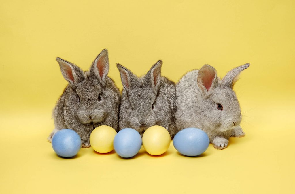 Coniglietti con uova di Pasqua