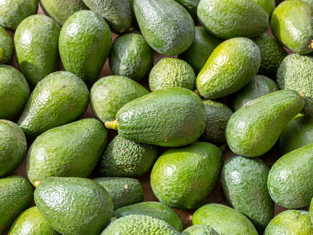 Avocado