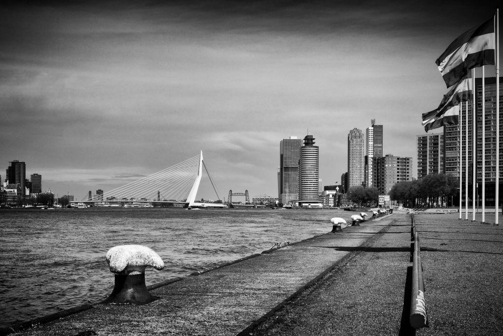 Città portuale mondiale Rotterdam 