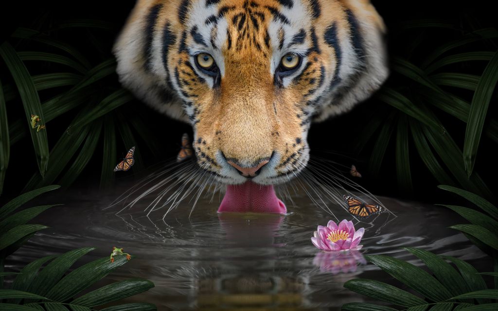 Tigre della giungla
