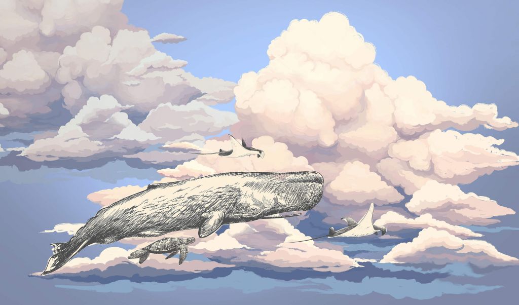 Balena con i suoi amici