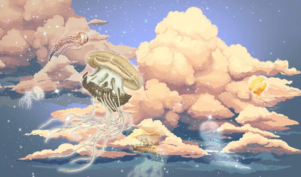 Meduse tra le nuvole