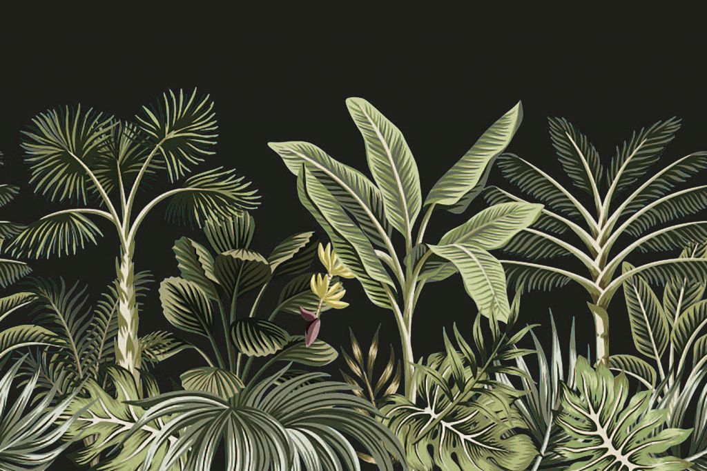 Palma tropicale su sfondo scuro