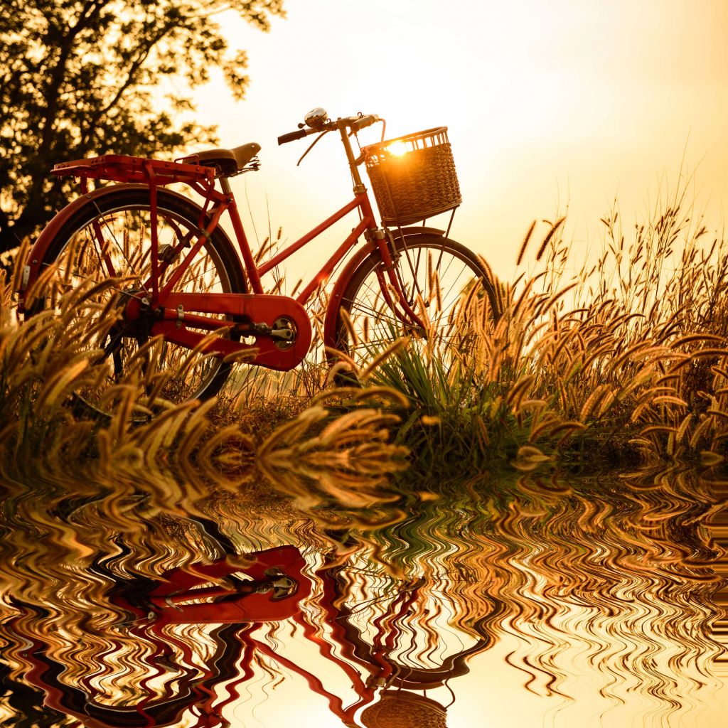 Bicicletta al tramonto