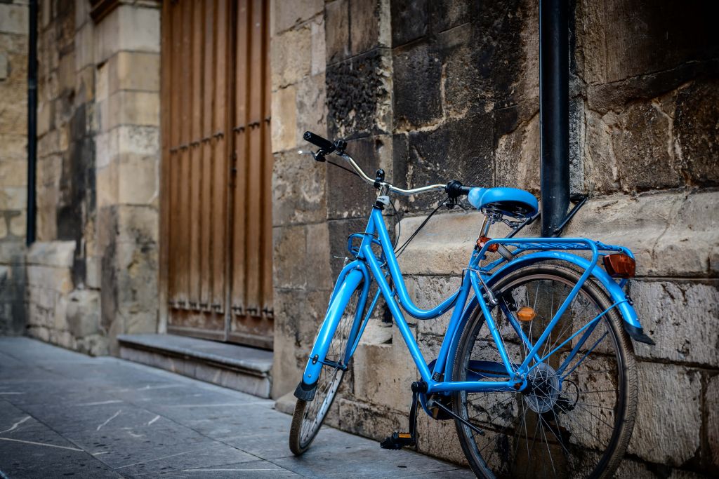 Bicicletta blu