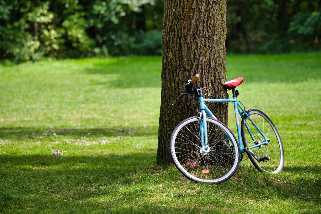 Bicicletta nel parco