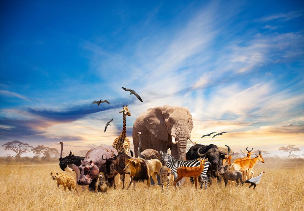 Gruppo di animali africani