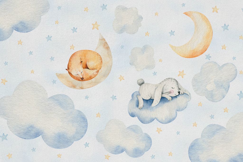 Amici che dormono tra le nuvole