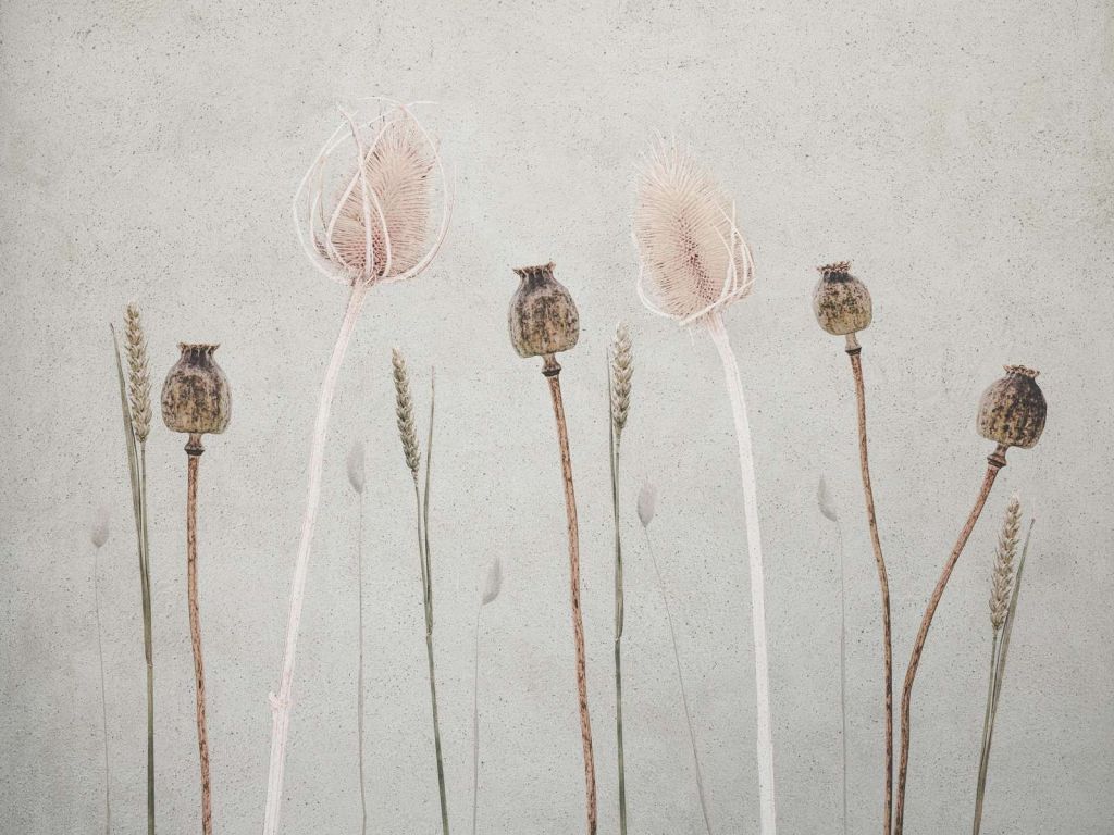 Pace di campo Texture