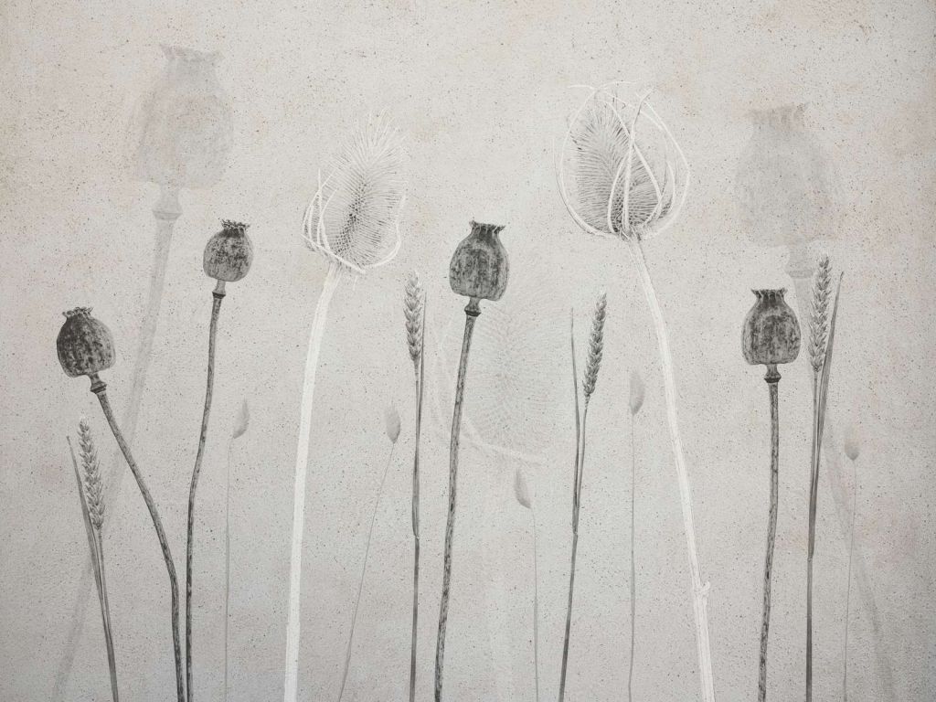 Fantasmi della natura che sussurrano