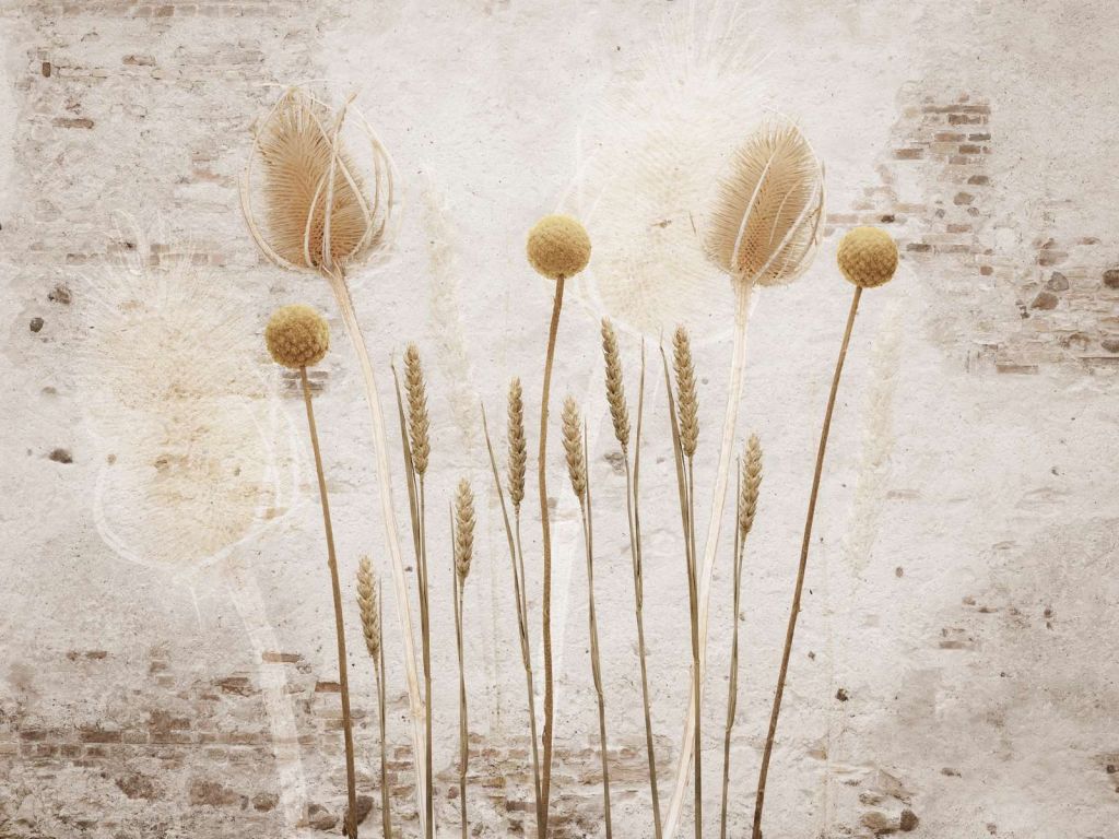 Raccolto d'oro passato