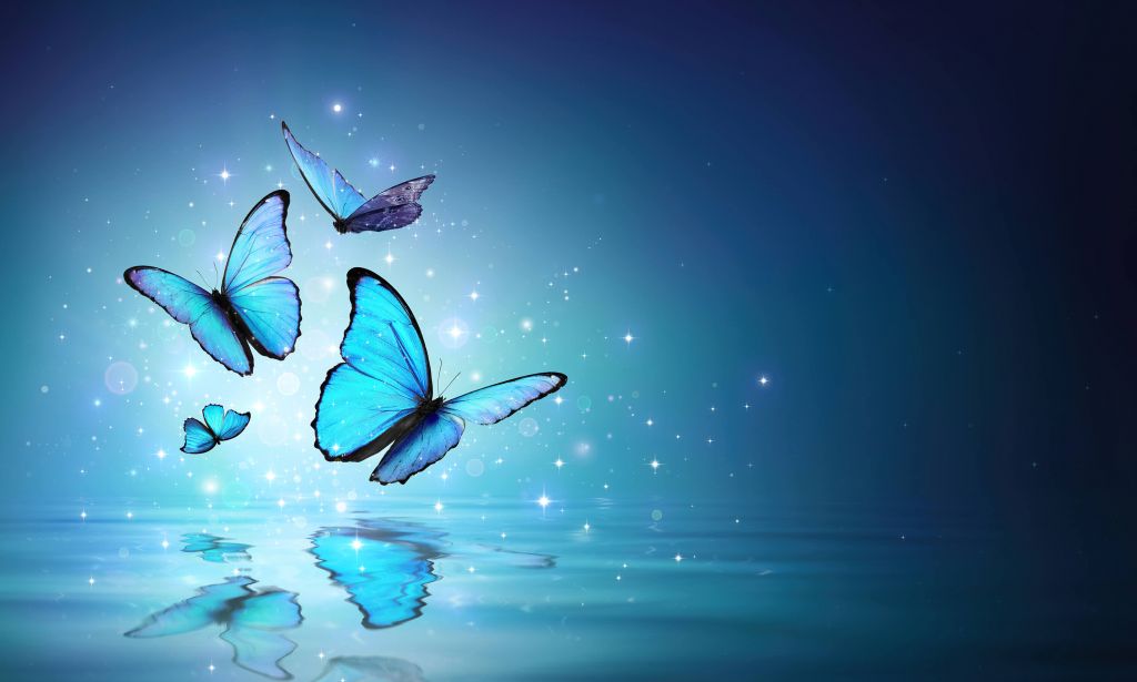 Farfalle sull'acqua