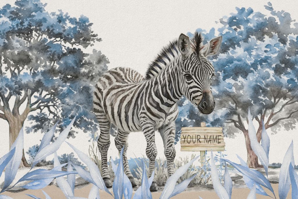 Giovane zebra in libertà blu