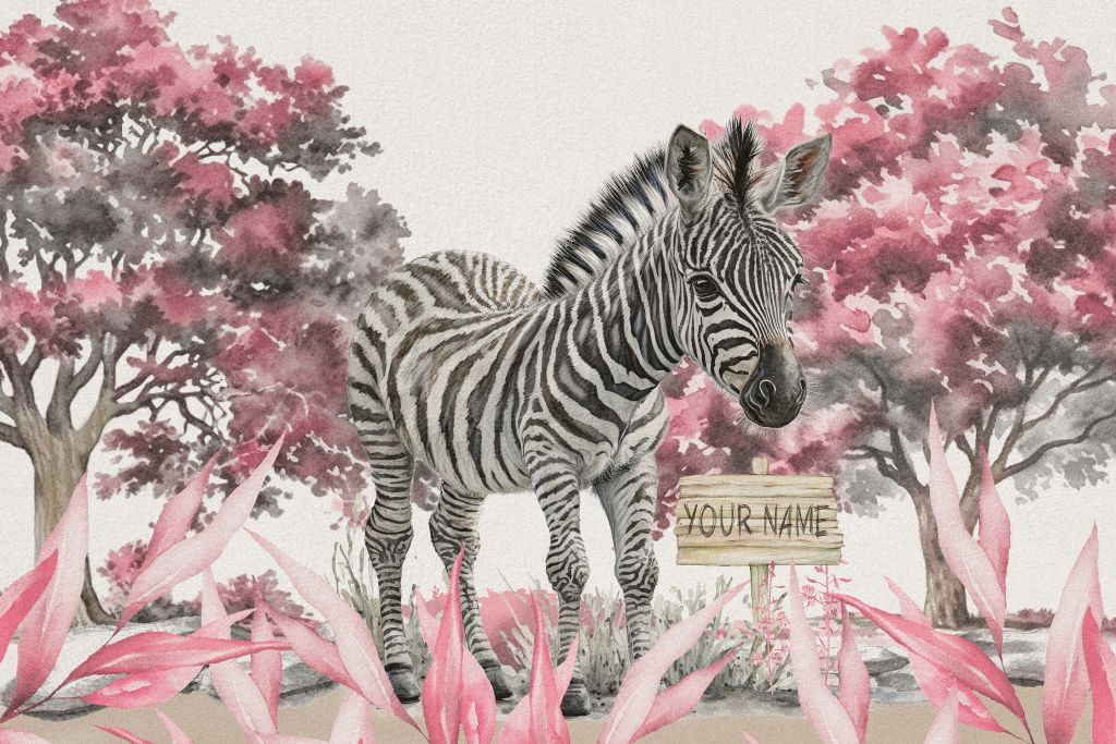 Giovane zebra in natura rosa