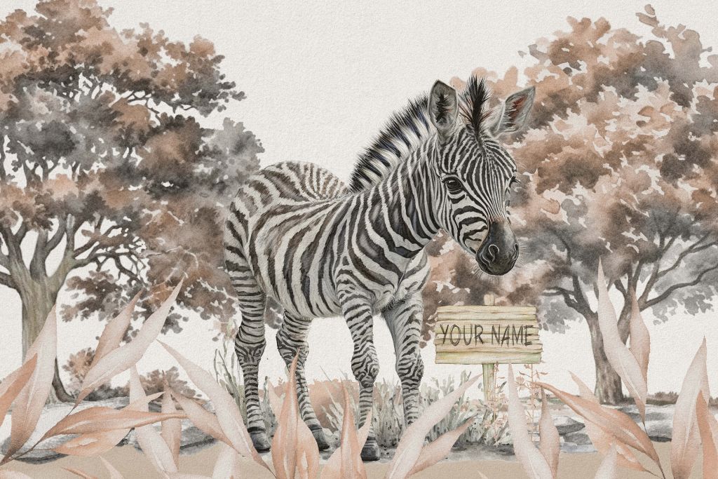 Giovane zebra in natura taupe