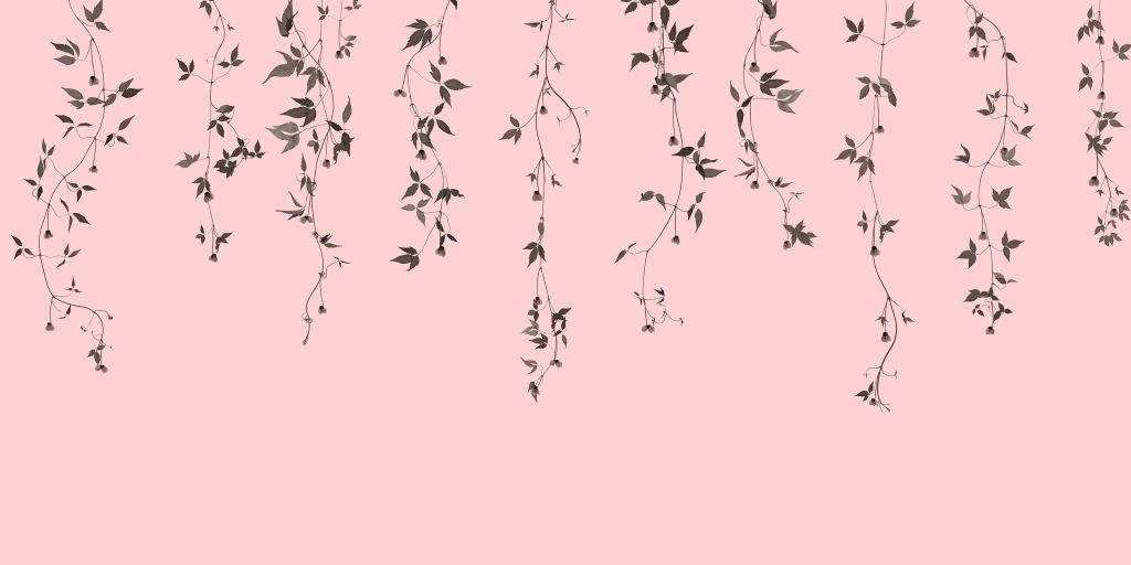 Rametti di clematide su rosa antico