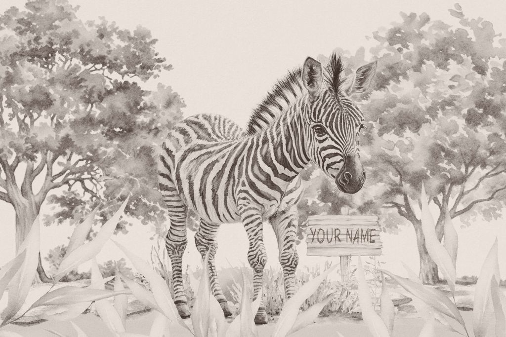Giovane zebra in libertà beige