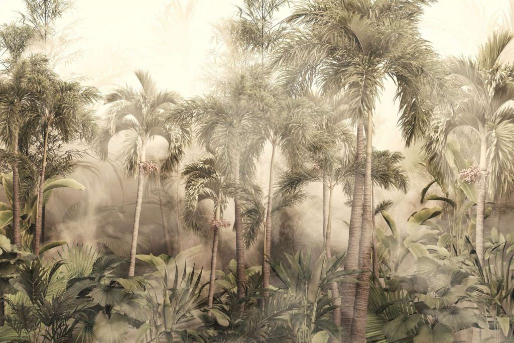 Bellezza della Nebbia Tropicale