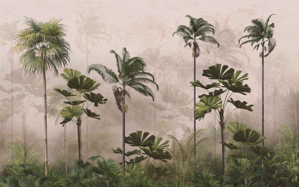 Splendore del Bosco all'Alba