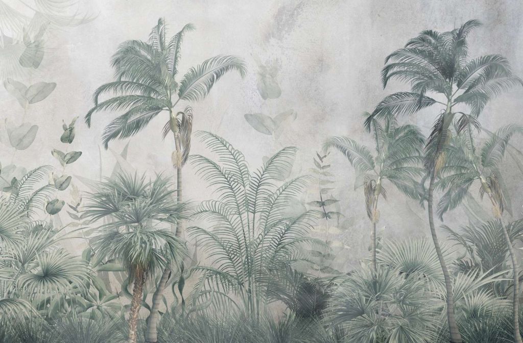 Paradiso Tropicale Nebbioso