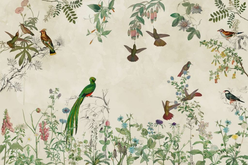 Campi di Uccelli Colorati