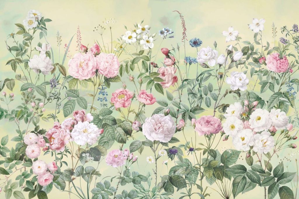 Giardino di Rose Romantico