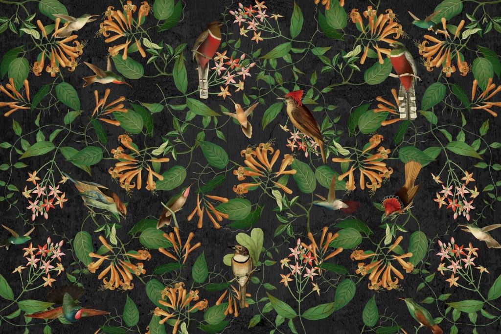 Melodia del Giardino di Mezzanotte