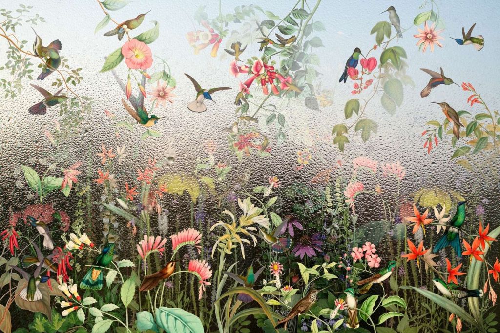 Paradiso degli Uccelli Piovosi