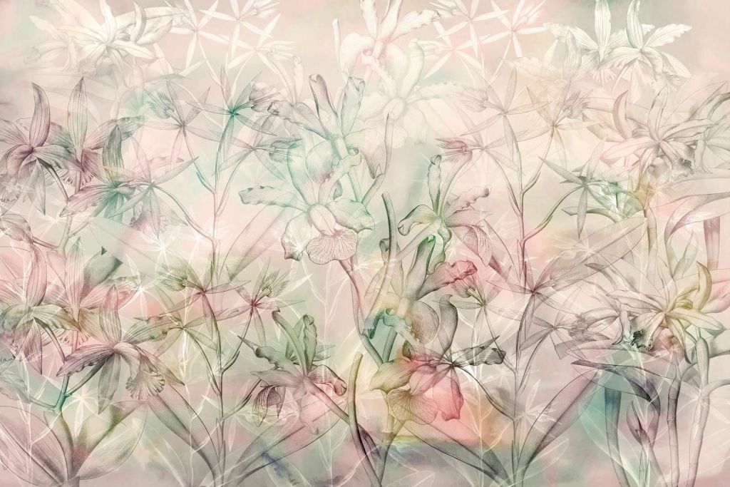 Miraggio di Orchidea in Pastelli Sofisticati