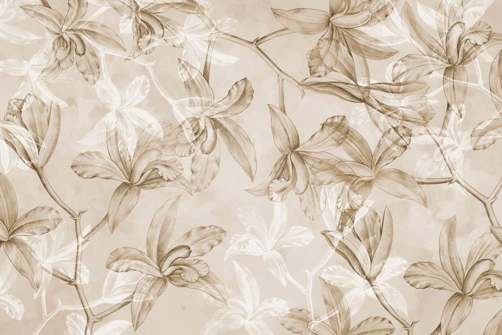 Sogno di Orchidea Sepia