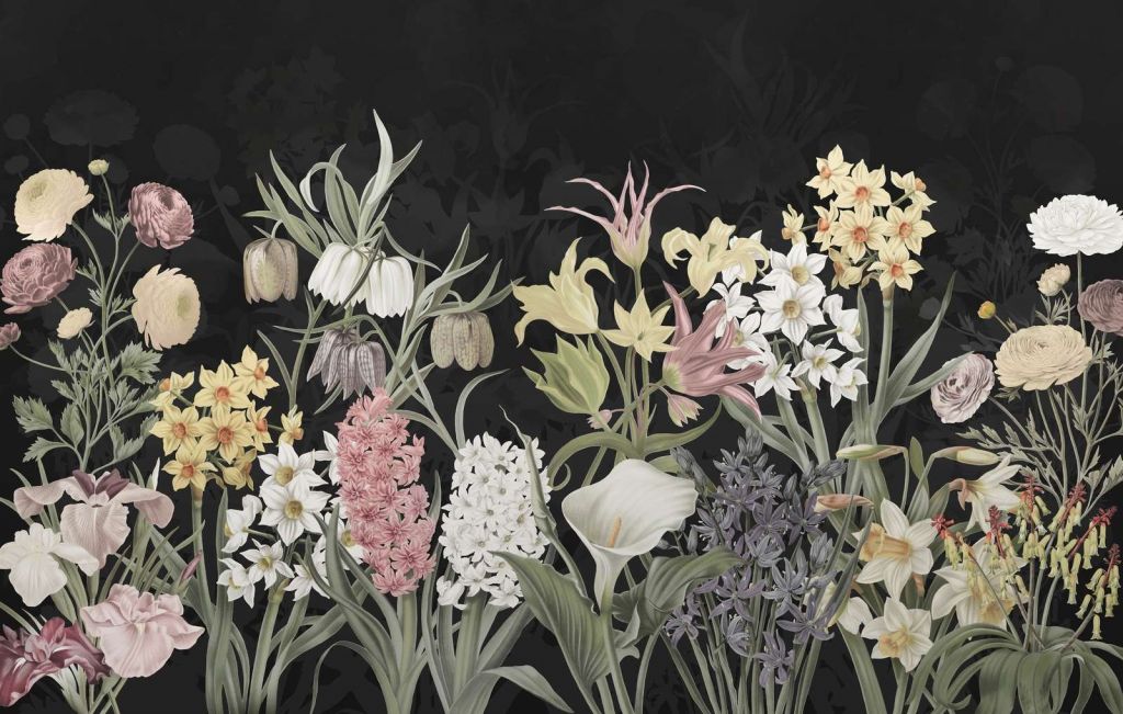 Fiori di Primavera - Fioritura di Mezzanotte