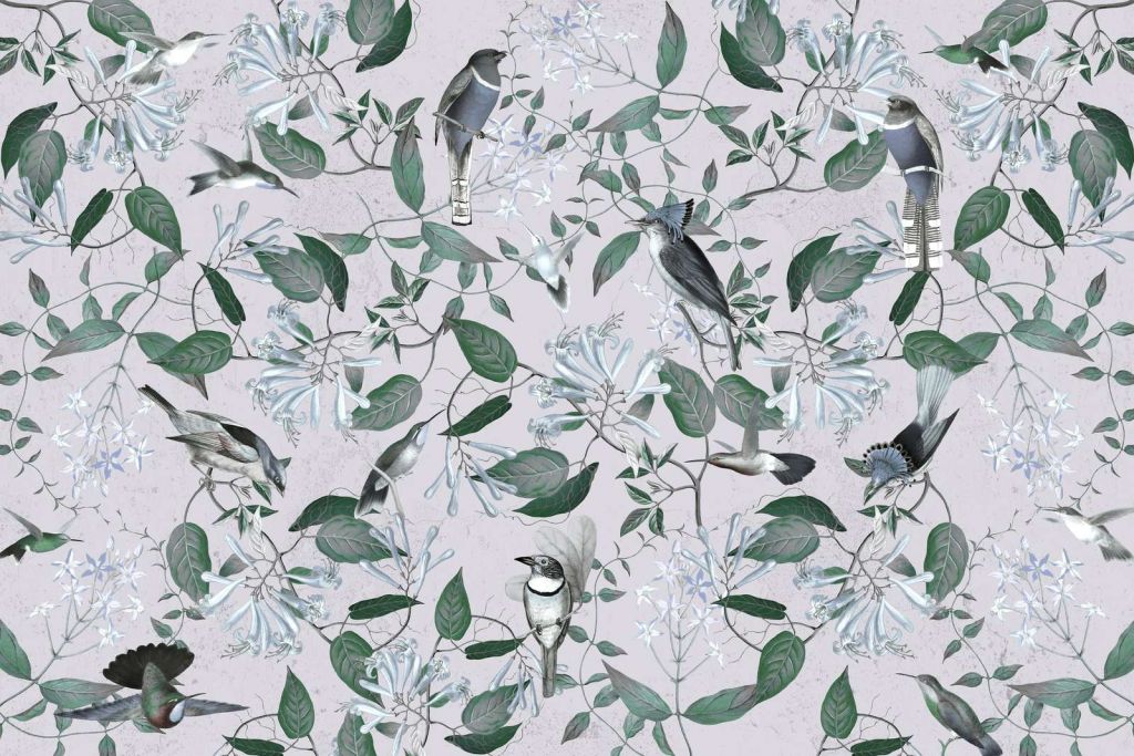 Tescoma Bird Paradise - Nebbia di Lavanda