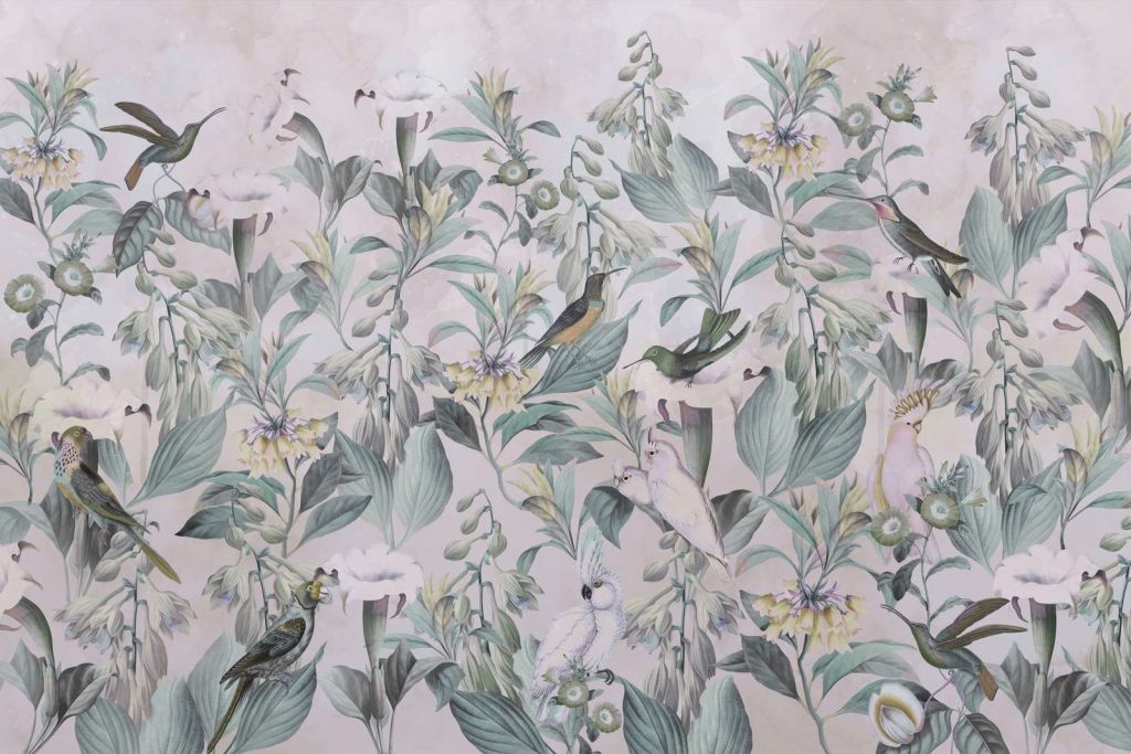 Canto degli uccelli eterei - Eleganza attenuata