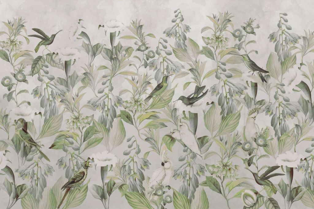 Canto degli uccelli eterei - Sinfonia verdeggiante