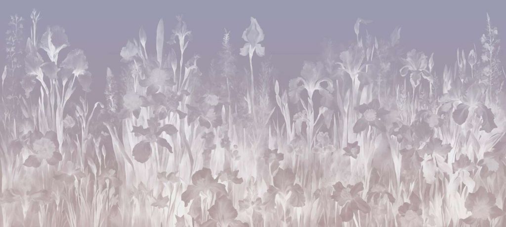 Primavera profumata - lavanda