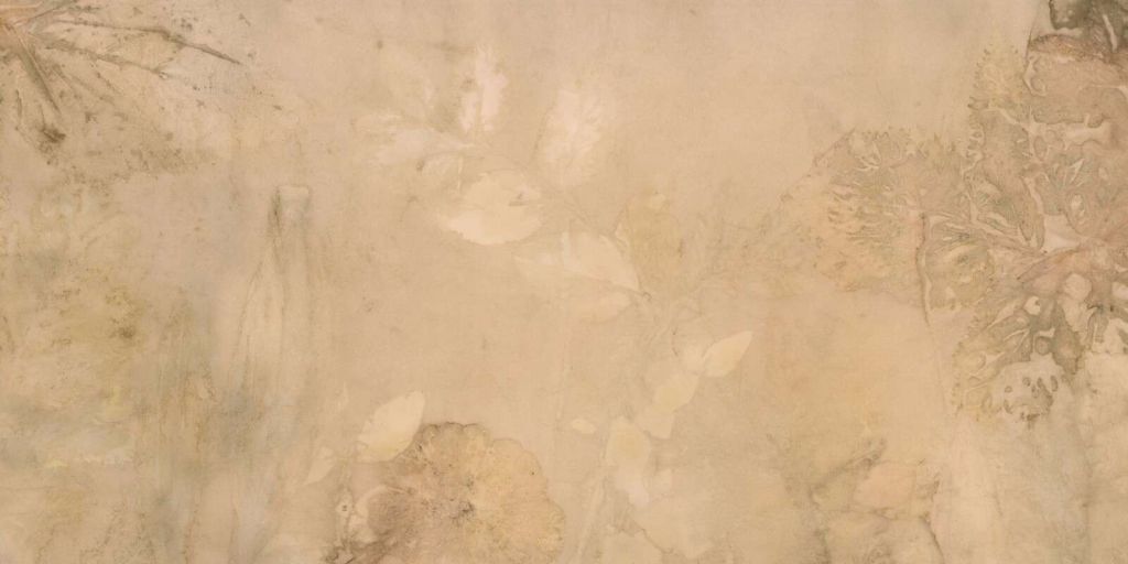 Weegbree e geranio selvatico - seppia