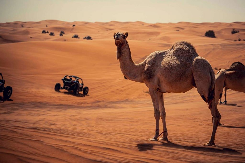 Avventura off-road nel deserto