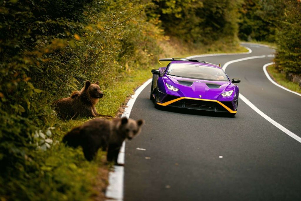 Natura incontra velocità